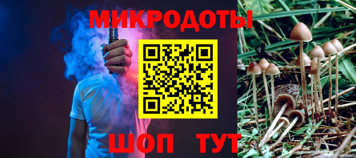 Троицк  Псилоцибиновые грибы прущие грибы  Вход с VPN 